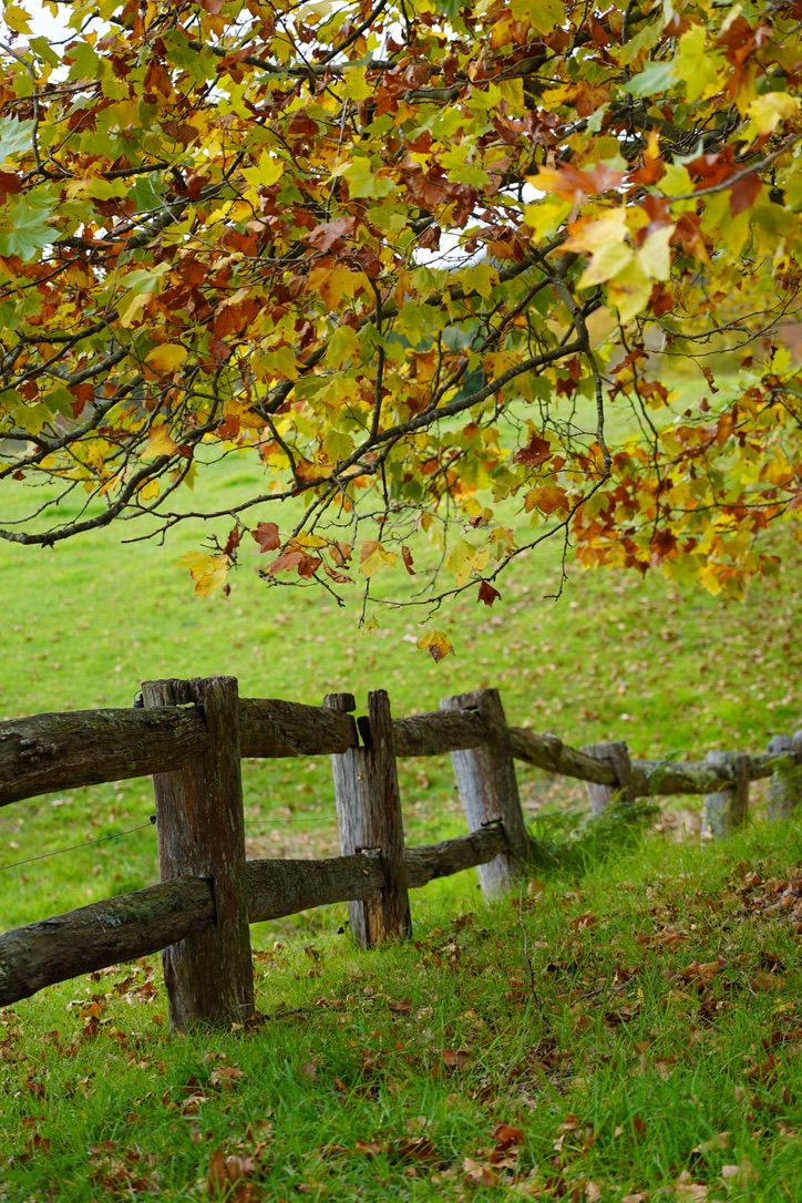 Berrima Real Estate